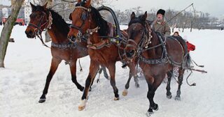 Russian Folk – Troika