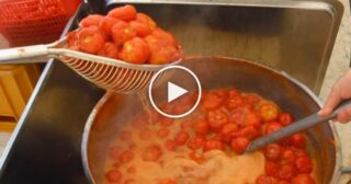 E Pummarole – Pratola Folk