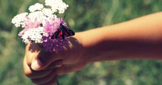 Quel Mazzolin Di Fiori + Testo