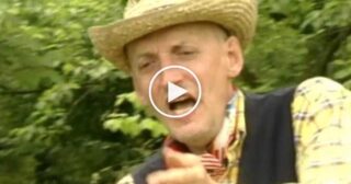 I Girasoli – L’uva fogarina + Testo