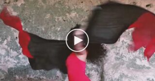 Giovanni Di Donato – “TAMMURRIATA DI PERIFERIA”