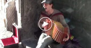 Suonatore d’Organetto a Napoli