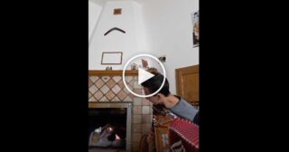 Jimbuseddu con Organetto Calabrese