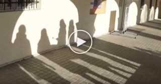 Ant tėvulio dzidzio dvaro – Obelija