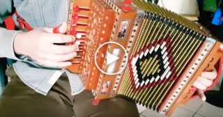 Tarantè Organetto di Francesco D’Addazio