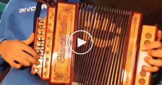 Nicola Di Rosa – La Zita con Organetto