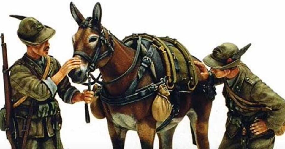 "Sul cappello" - Canto degli Alpini - Canti grande Guerra.