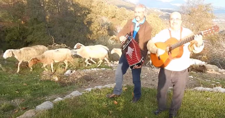 Tarantella Calabrese - Organetto. Musica popolare italiana.