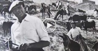 Quantu basilicò – Giuseppe Ganduscio