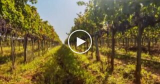 Basilicata – Officine Popolari Lucane di Pietro Cirillo