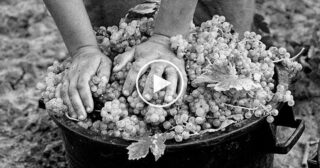 Musica Popolare Siciliana – A vinnigna + Testo