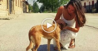 Lassame ccà – Libero