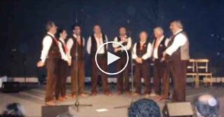 Cardellini del Fontanino – L’uccellino