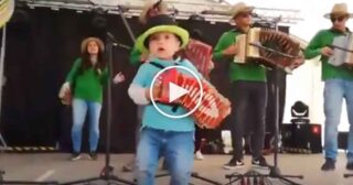 Allegro bimbo di 2 anni con la fisarmonica