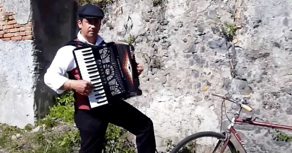 Il Padrino - Accordion theme. Musica cinema.