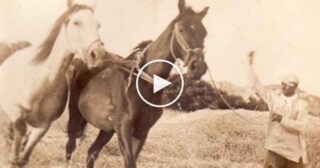 U pisari (canto di trebbiatura) – Marco Croce