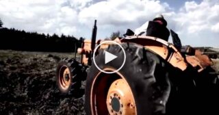 Renanera – Cup cup