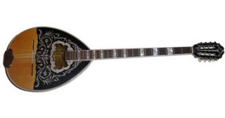 Bouzouki – Strumento musicale