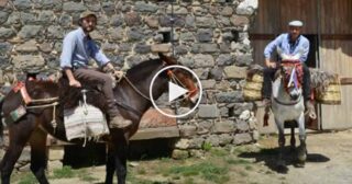 Emigranti Sicilianu – Tony Ferrara