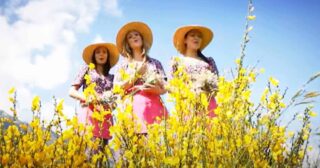 Quel Mazzolin di fiori – Le Mondine