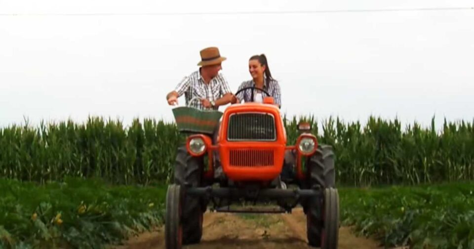 Orchestra Liscio Simpatia. Musica popolare.