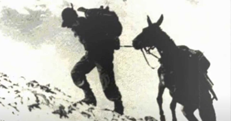 Coro della Brigata Alpina Tridentina - Vecio Alpin. Musica Alpini.