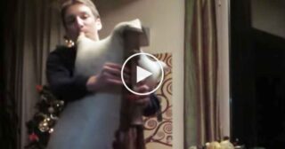 Canzoni tipiche Natalizie eseguite con la Zampogna