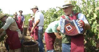 La Vendemmia a Orvieto – Musica con organetto