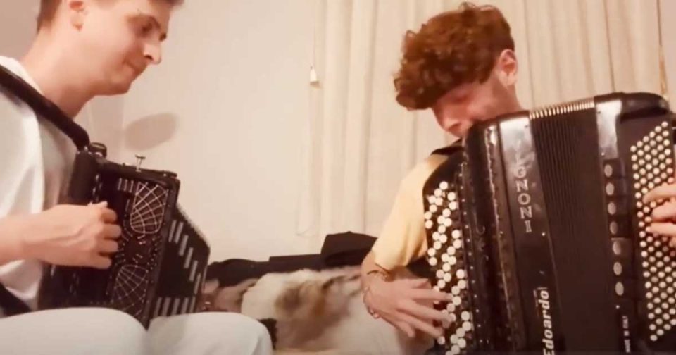 Polka del trillo e madonnina dai riccioli d'oro musica.