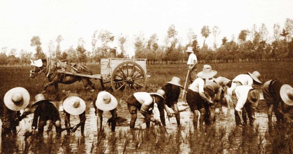 Alla mattina appena alzata - Mondine.
